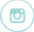 icone instagram